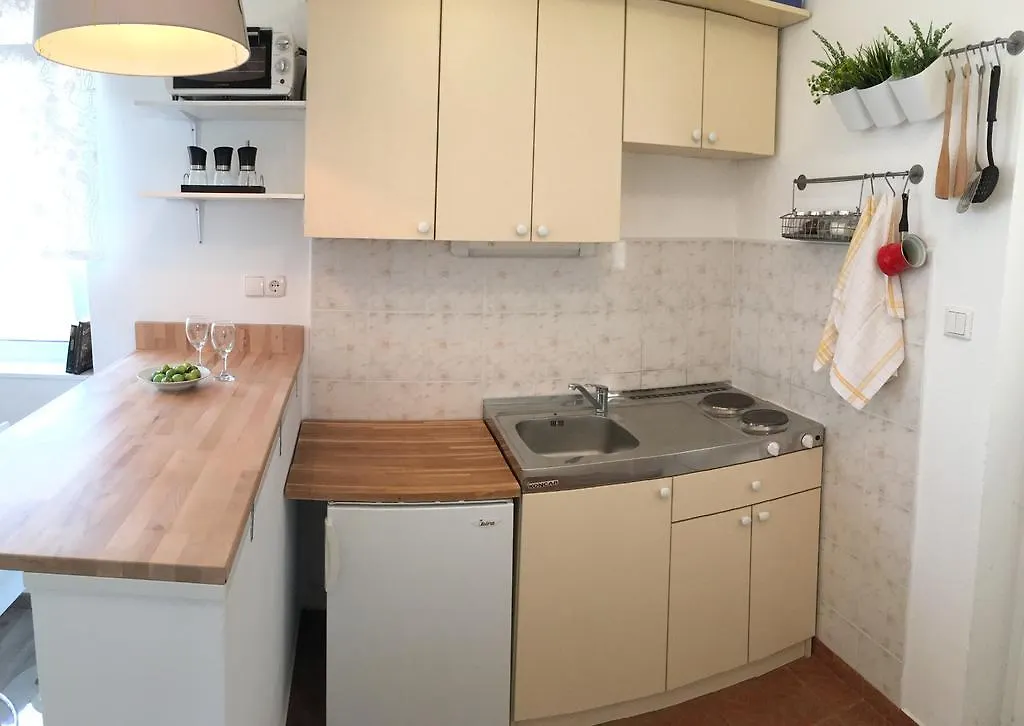 Apartments Tatjana Pag Island  باغ